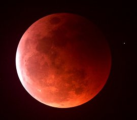 Bloedmaan